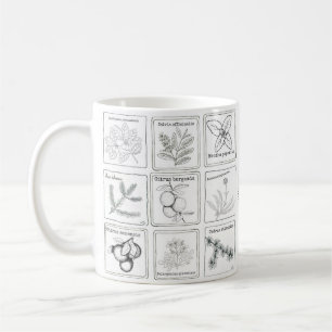 Aromatherapy-Pflanzen-Skizze-Tasse Tasse