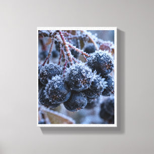 Aronia Frost Makro Leinwanddruck
