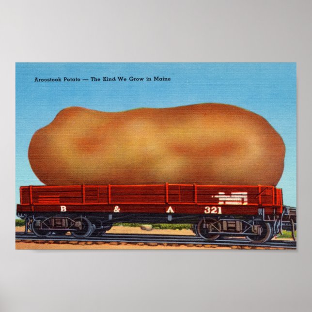 Aroostook Potato Vintage Postkarte Poster (Vorne)