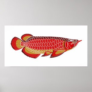 arowana Plakat