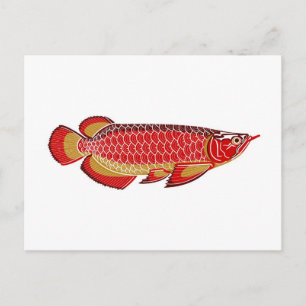 arowana Postkarte