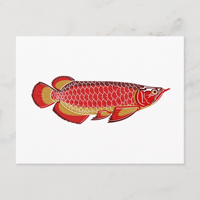 arowana Postkarte (Vorderseite)