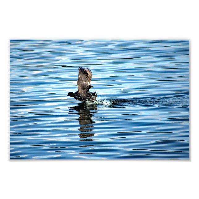 Arrowhead-See Fotodruck (Vorne)