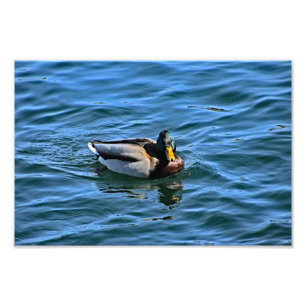 Arrowhead-See Fotodruck