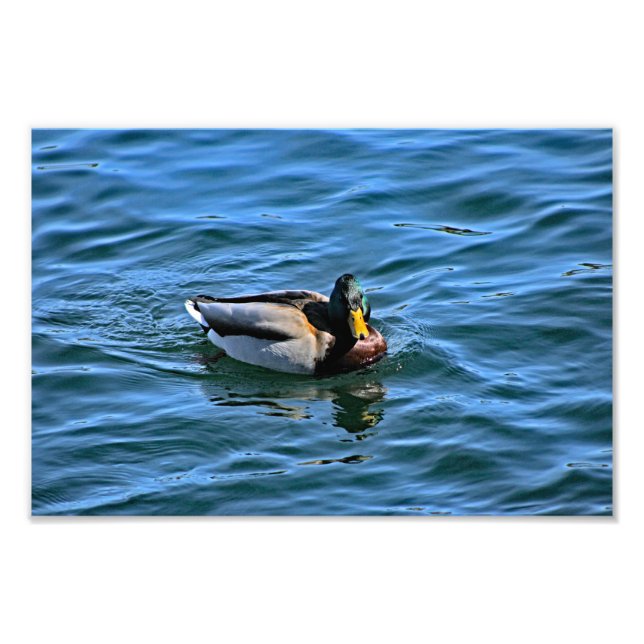 Arrowhead-See Fotodruck (Vorne)