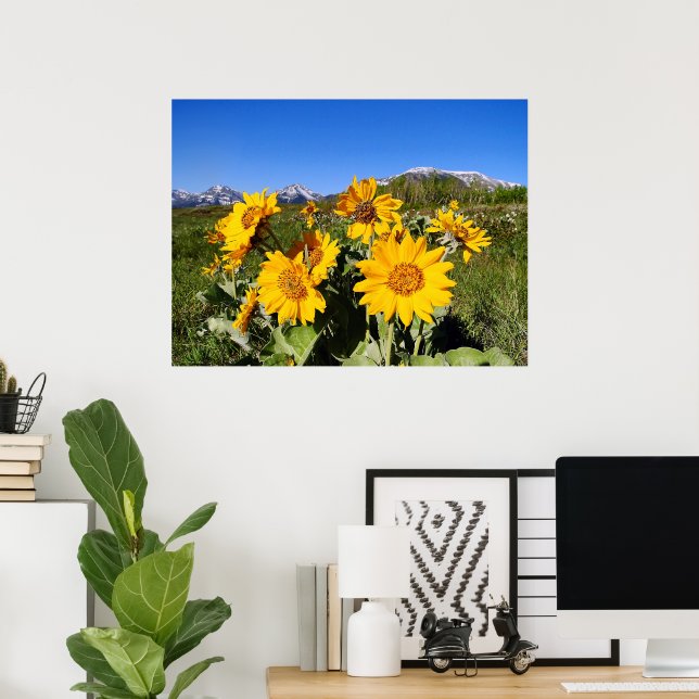 Arrowleaf Balsamroot Gerahmt Print Poster (Heimbüro)