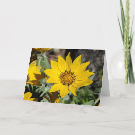 Arrowleaf Balsamroot Notecard Karte