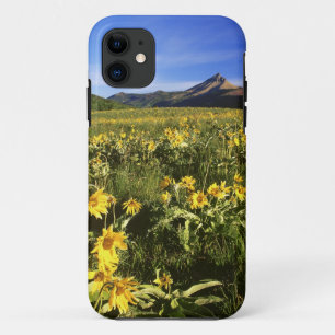 Arrowleaf Balsomroot bedeckt die Prärie mit Case-Mate iPhone Hülle