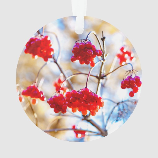 Arrowwood Berries Ornament (Rückseite)