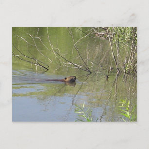 Art 2 postkarte