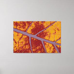 Art. 3 leinwanddruck