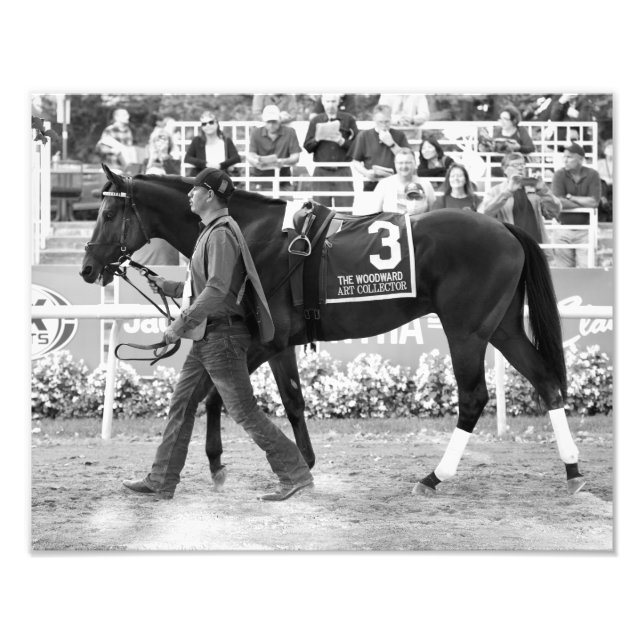 Art Collector Foto Print (Vorne)