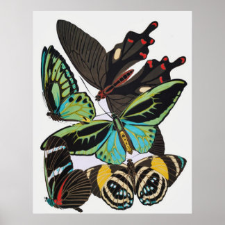 Art Deco Butterflies Poster