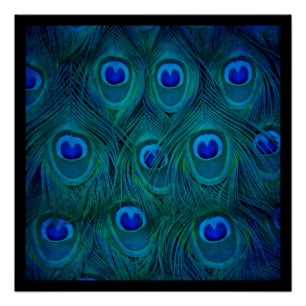 Art Deco Parisian Aquamarin Green Peacock Feather Poster