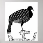 Art Deco Pauwie Bird Tierwelt Illustration Poster<br><div class="desc">Art Deco Pauwie Bird Animal Wildlife Schwarz-Weiß Illustration Poster</div>