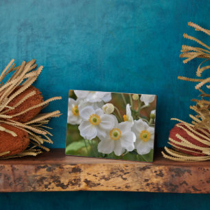 Art Deco Plaque-Blume Plaque Fotoplatte