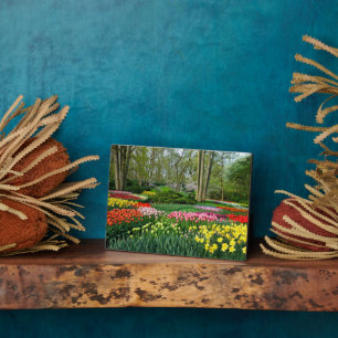 Art Deco Plaque-Blume Plaque Fotoplatte