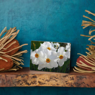 Art Deco Plaque-Blume Plaque Fotoplatte