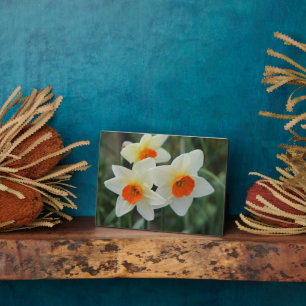 Art Deco Plaque-Blume Plaque Fotoplatte