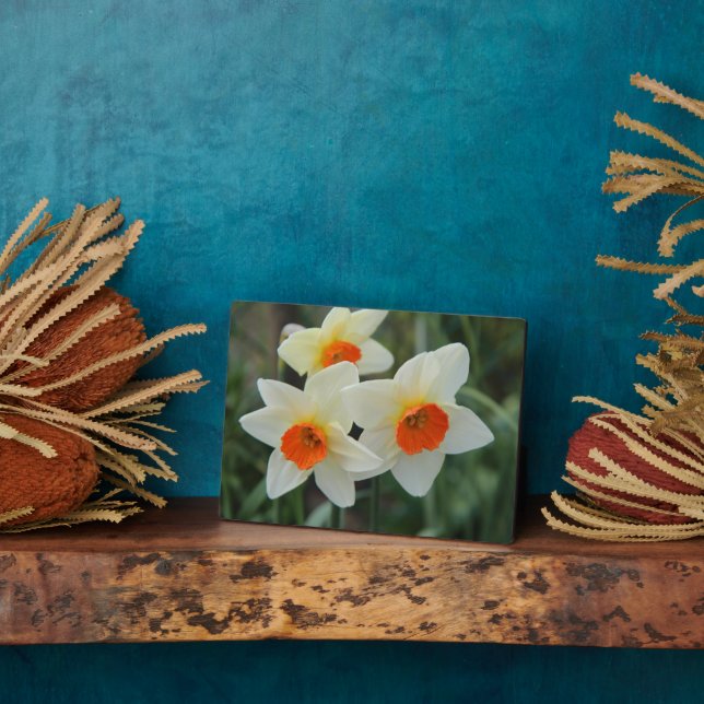 Art Deco Plaque-Blume Plaque Fotoplatte (Seite)