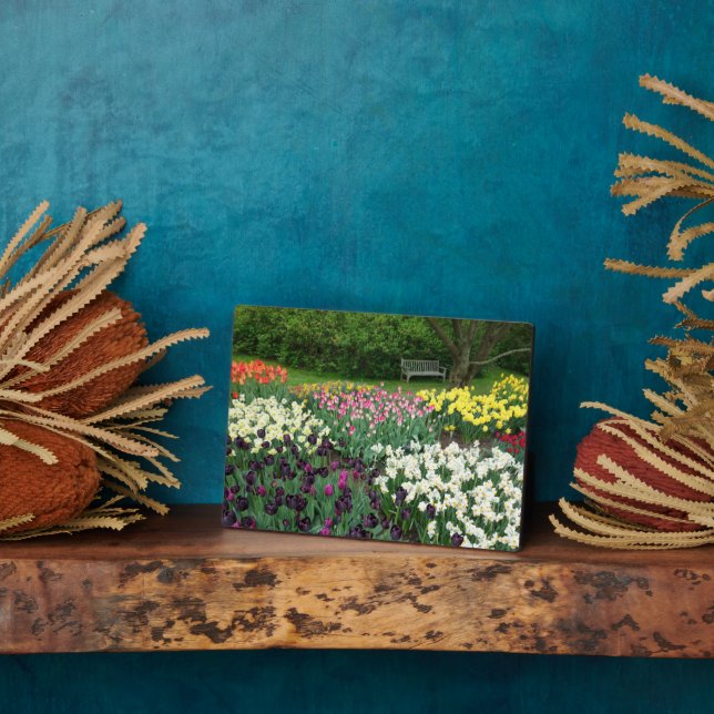 Art Deco Plaque-Blume Plaque Fotoplatte (Seite)