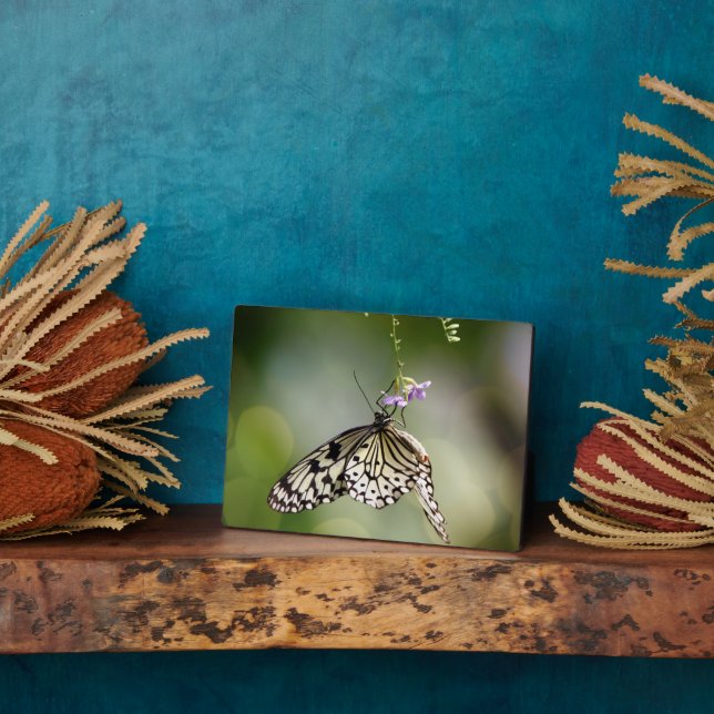 Art Deco Plaque-Butterfly Plaque Fotoplatte (Seite)