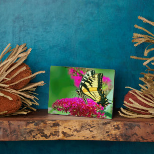 Art Deco Plaque-Butterfly Plaque Fotoplatte