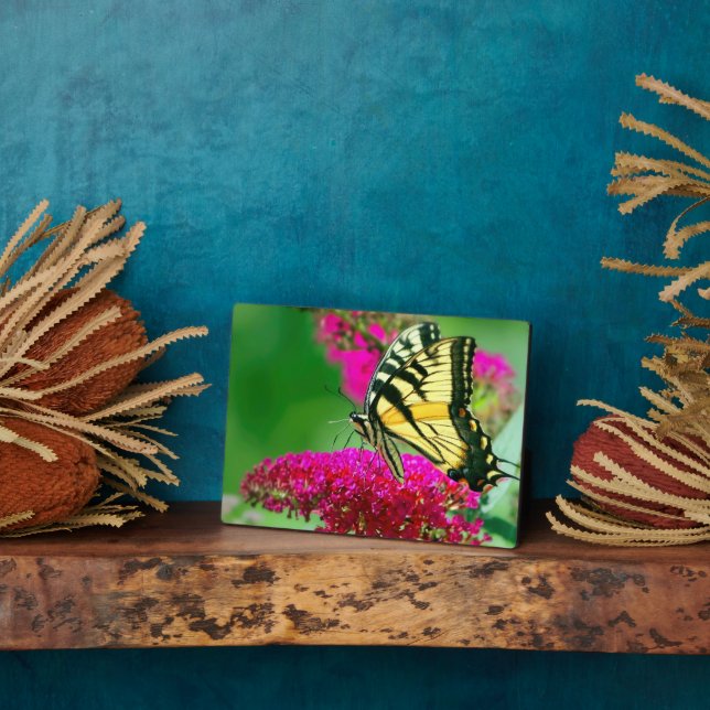 Art Deco Plaque-Butterfly Plaque Fotoplatte (Seite)