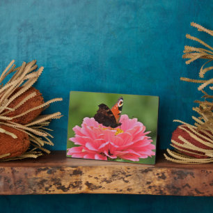 Art Deco Plaque-Butterfly Plaque Fotoplatte