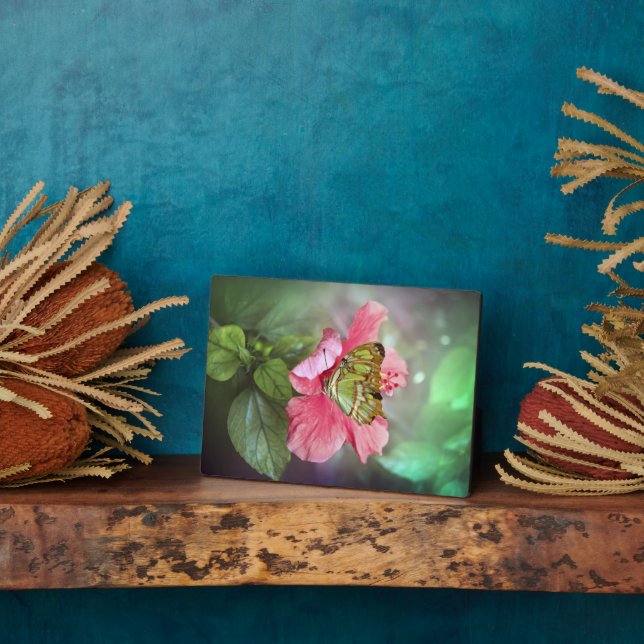 Art Deco Plaque-Butterfly Plaque Fotoplatte (Seite)