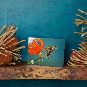 Art Deco Plaque-Butterfly Plaque Fotoplatte