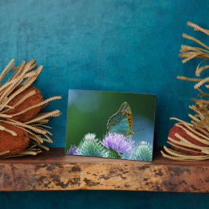 Art Deco Plaque-Butterfly Plaque Fotoplatte