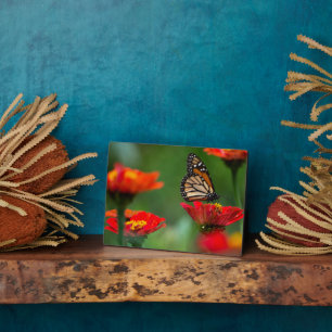 Art Deco Plaque-Butterfly Plaque Fotoplatte