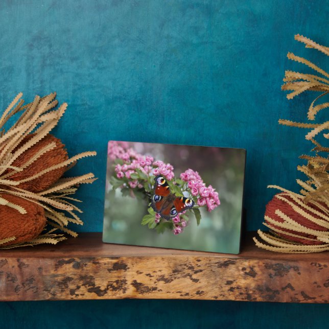 Art Deco Plaque-Butterfly Plaque Fotoplatte (Seite)