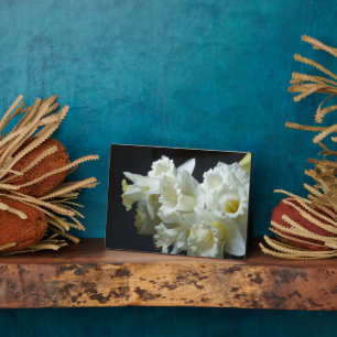 Art Deco Plaque-Daffodils Plaque Fotoplatte