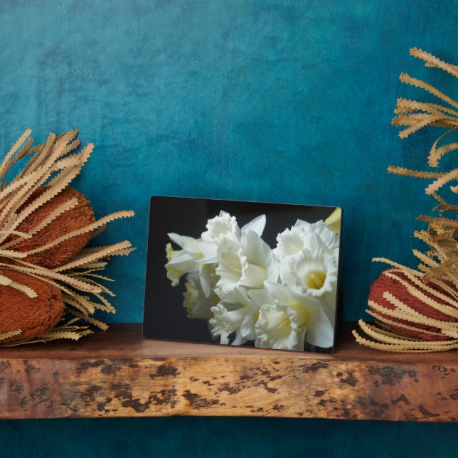 Art Deco Plaque-Daffodils Plaque Fotoplatte (Seite)