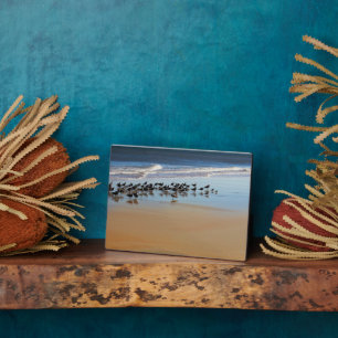 Art Deco Plaque Fotoplatte