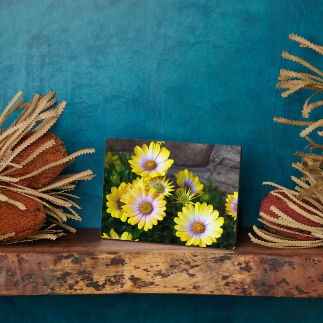 Art Deco Plaque Fotoplatte (Seite)