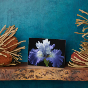 Art Deco Plaque-Iris Plaque Fotoplatte