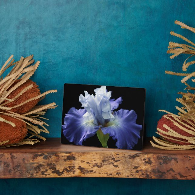 Art Deco Plaque-Iris Plaque Fotoplatte (Seite)