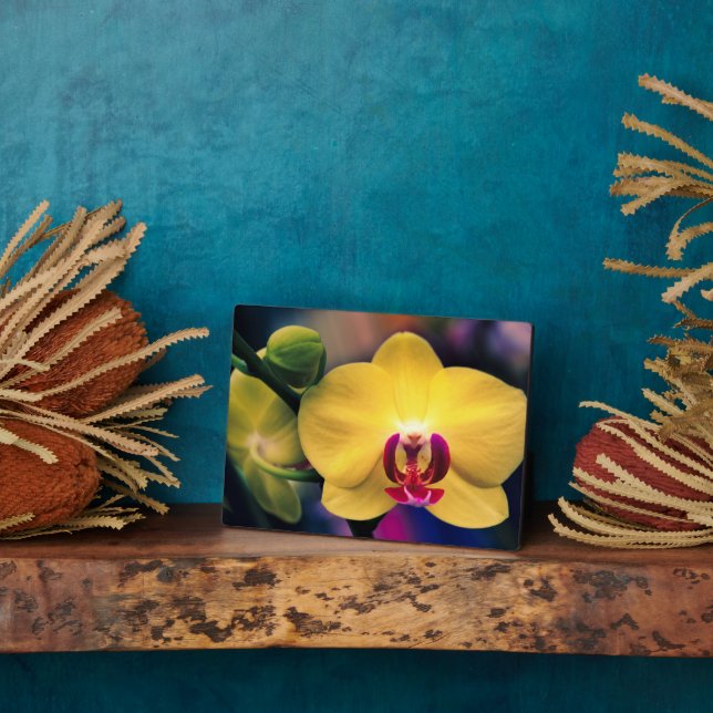 Art Deco Plaque-Orchid Blume Plaque Fotoplatte (Seite)