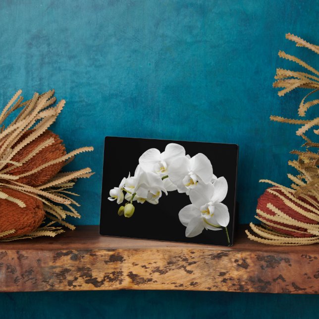 Art Deco Plaque-Orchid Blume Plaque Fotoplatte (Seite)