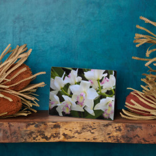 Art Deco Plaque-Orchid Blume Plaque Fotoplatte