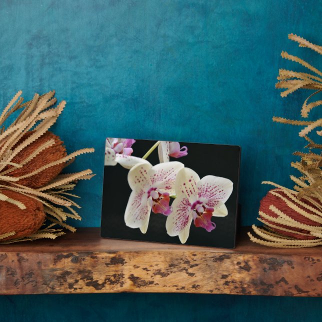 Art Deco Plaque-Orchids Plaque Fotoplatte (Seite)