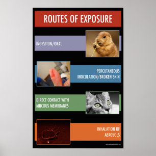 Art der Exposition Sicherheitshinweise Poster