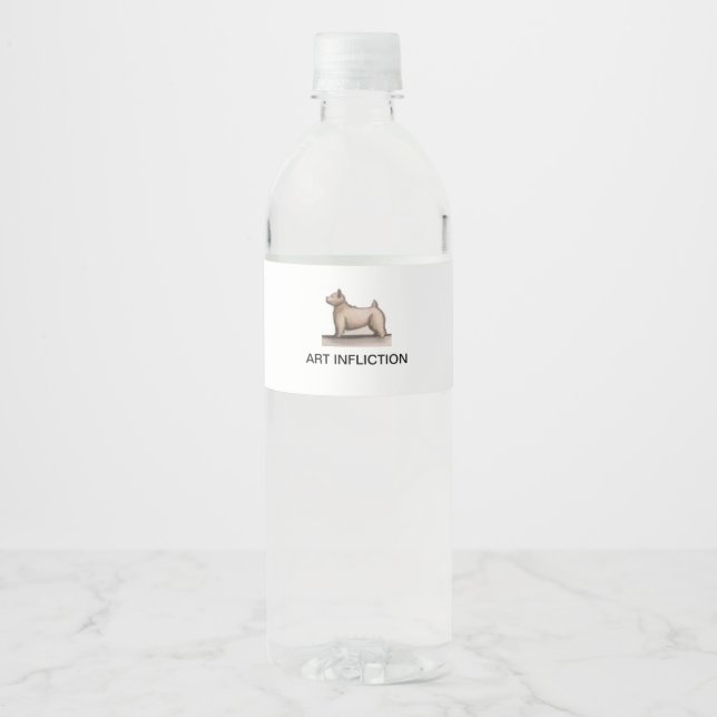 Art der Injektion Klare Flasche Wasserflaschenetikett (Vorderseite)