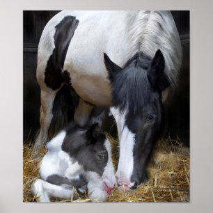Art der Mutter Poster