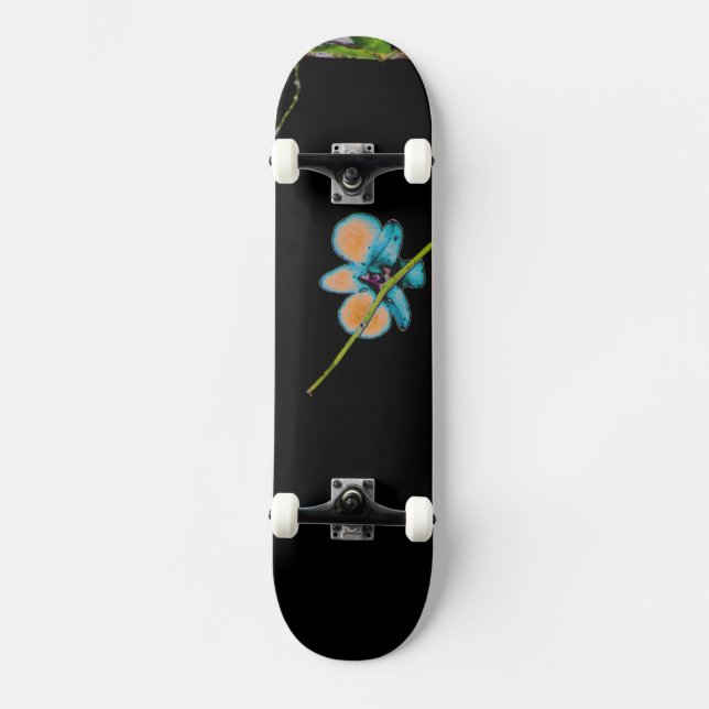 Art II Skateboard (Vorderseite)