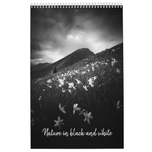 Art in schwarz-weiß v1 Foto Kalender