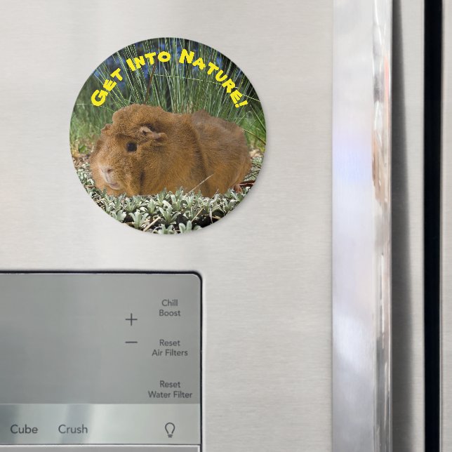 Art Inspiriert Niedliche Guinea Schweinebuchtenvor Magnet (In Situ (Kühlschrank))